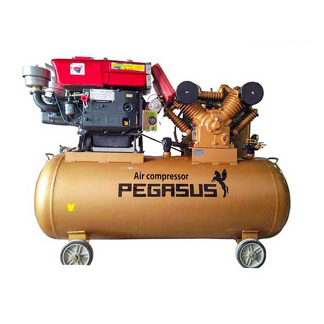 Máy nén khí chạy dầu Pegasus TM-W-2.0/8-500L