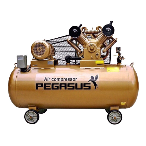Máy nén khí Pegasus TM-V-1.05/12.5-500L
