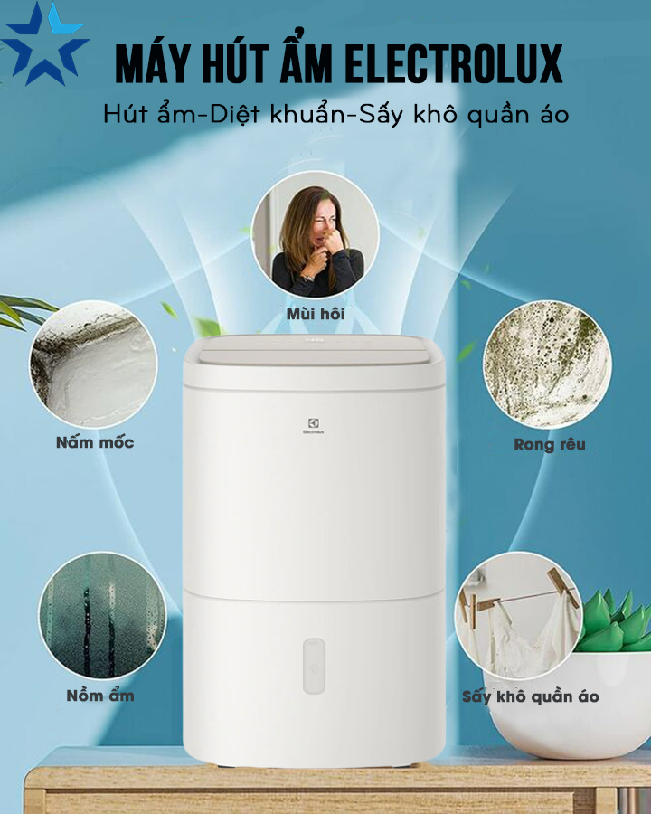 Thiết bị xử lý ẩm Electrolux là cái tên quen thuộc trên thị trường Việt Nam